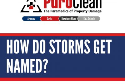 Storm Names