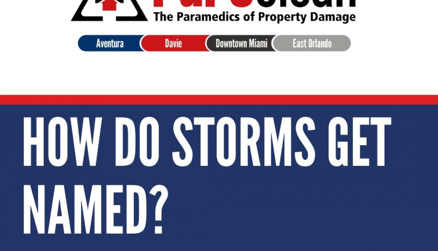 Storm Names