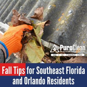 fall tips