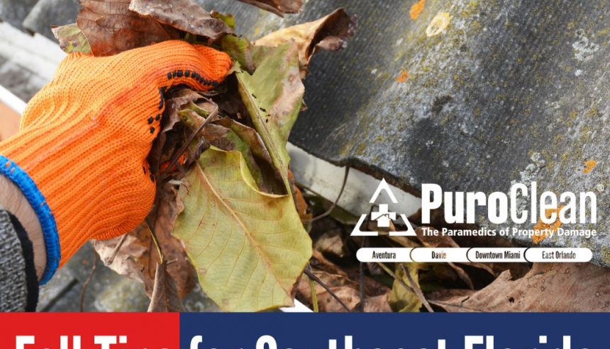 fall tips