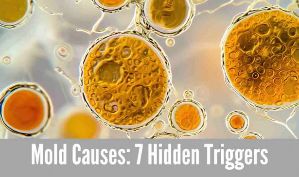 Mold Causes: 7 Hidden Triggers Behind Indoor Growth
