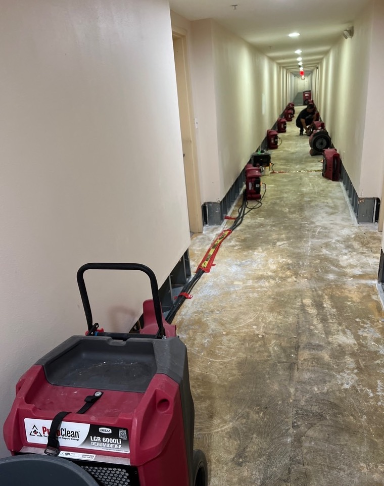 Water damage restoration in progress