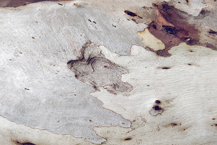 Restoration