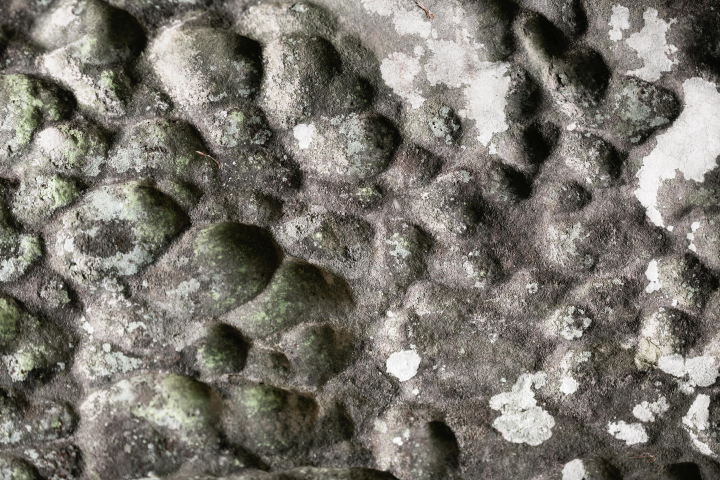 Close-up of mold growth on a surface, showing textured clusters and varying shades of green and gray.