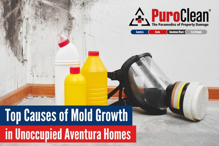 Mold