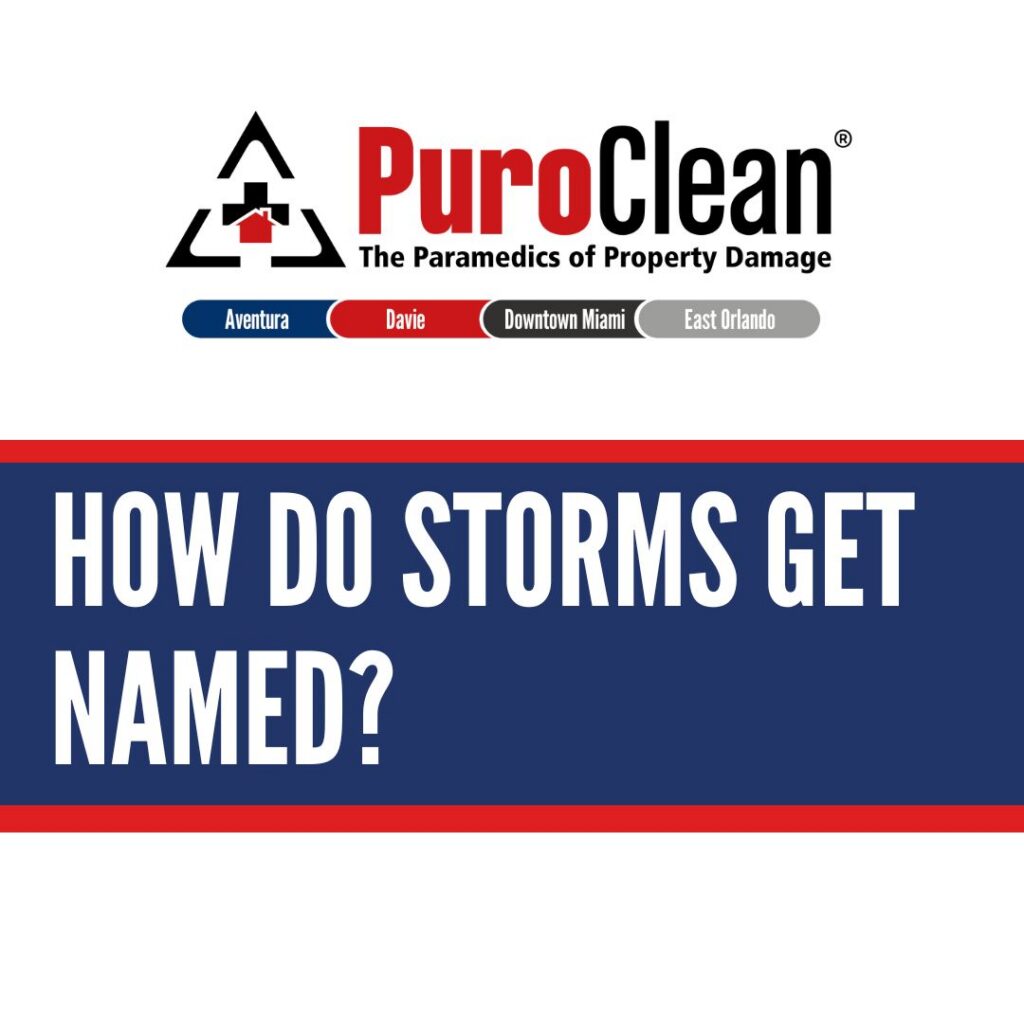 Storm Names