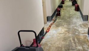 Industrial drying equipment lines a hallway with exposed wall bases and a stained concrete floor. TITLE