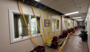 Yellow drying hoses extend from a damaged ceiling to equipment in a hallway during water remediation. TITLE