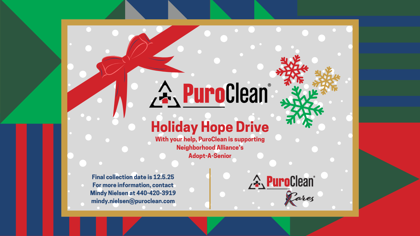 Spreading Holiday Cheer: 🎄✨Join Us for our Holiday for Hope Drive 2025!