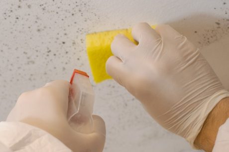 What Is The Mold Remediation Process in Bakersfield, CA
