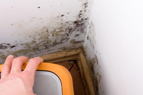 Why Choose PuroClean Certified Restoration Specialists for Mold Remediation