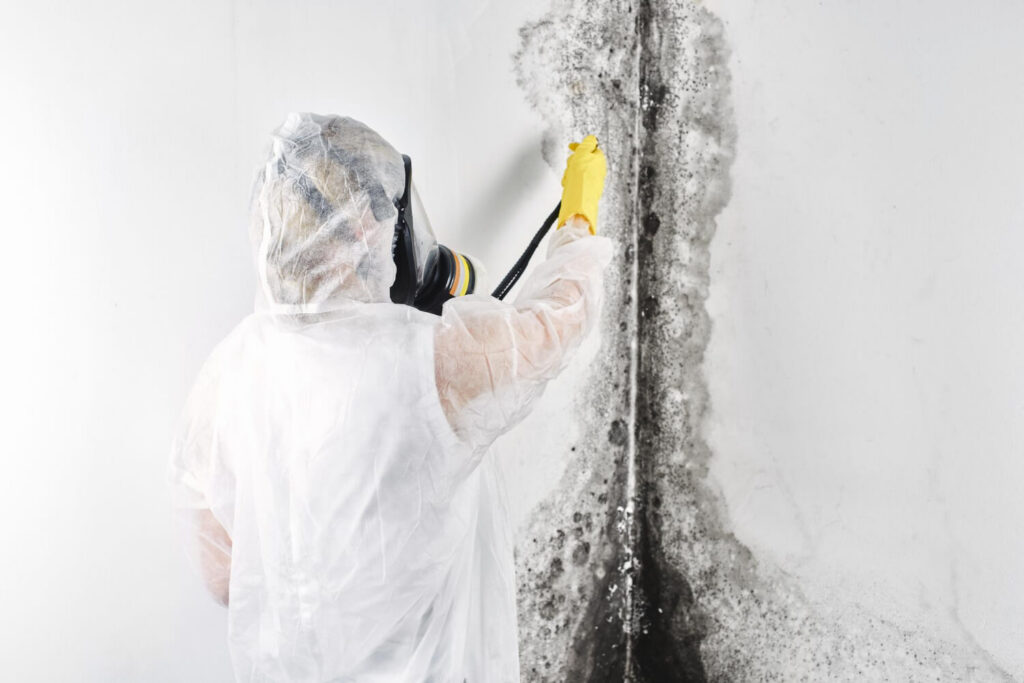 A professional disinfectant in overalls processes the walls for mold