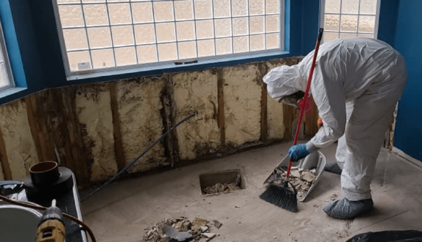 Mold remediation in Baldwin NW homes