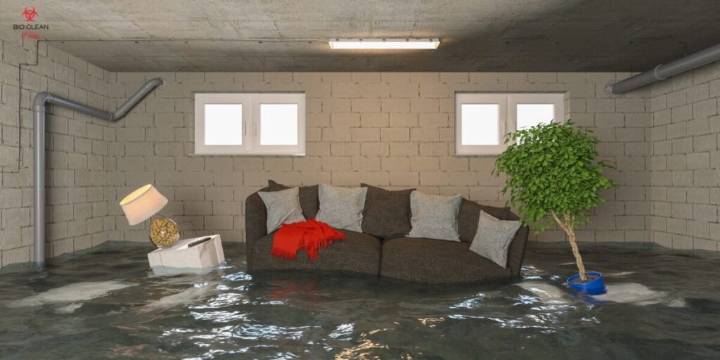 A flooded basement room with a submerged sofa, lamp, and plant awaits water damage