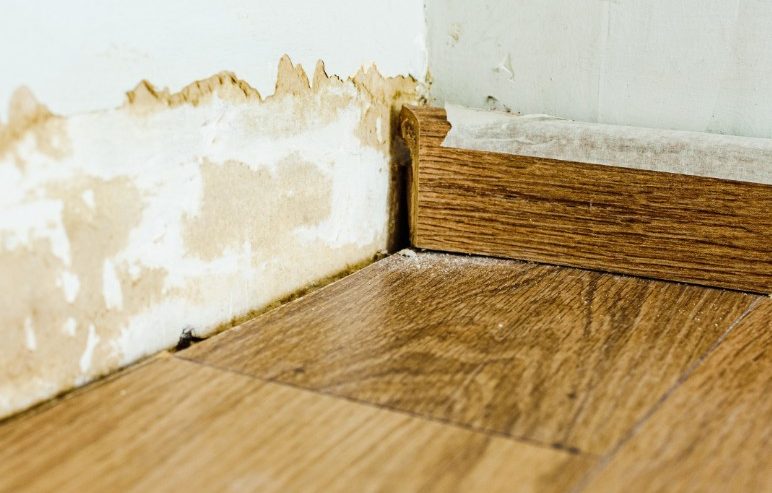 A white wall shows significant water damage and peeling paint above a wooden laminate floor and