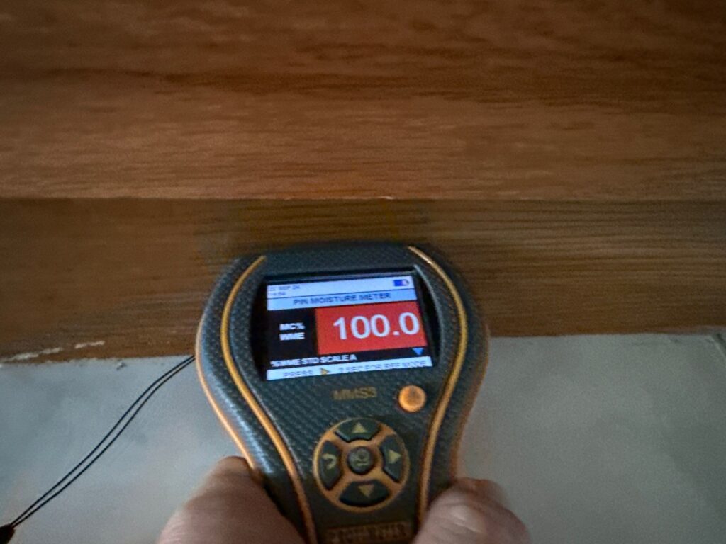 A digital moisture meter displays a critical 100.0 reading on a wooden surface
