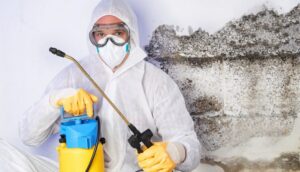 Mold remediation specialist in hazmat suit spraying a wall covered