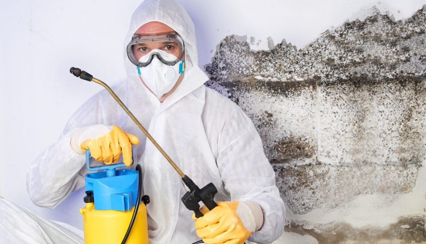 Mold remediation specialist in hazmat suit spraying a wall covered