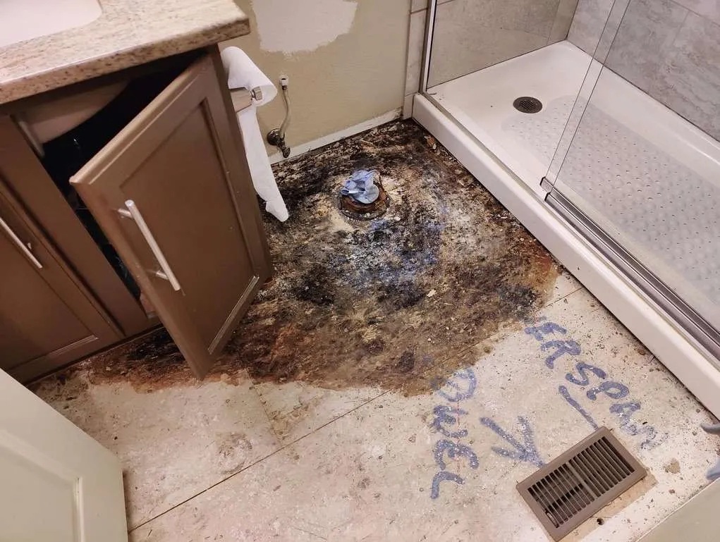 Bathroom floor with extensive black mold and water damage around