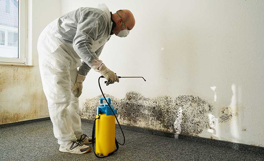 Mold remediation professional in protective gear spraying extensive black mold on