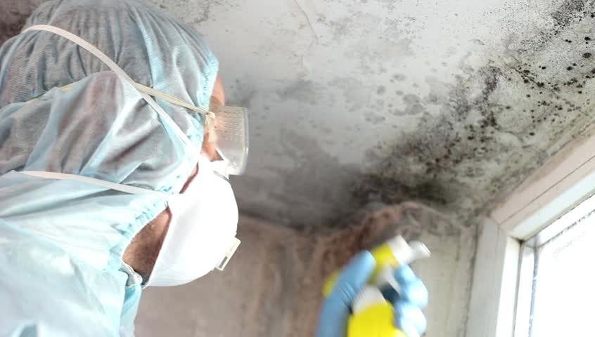 Professional in protective gear spraying black mold on a ceiling.