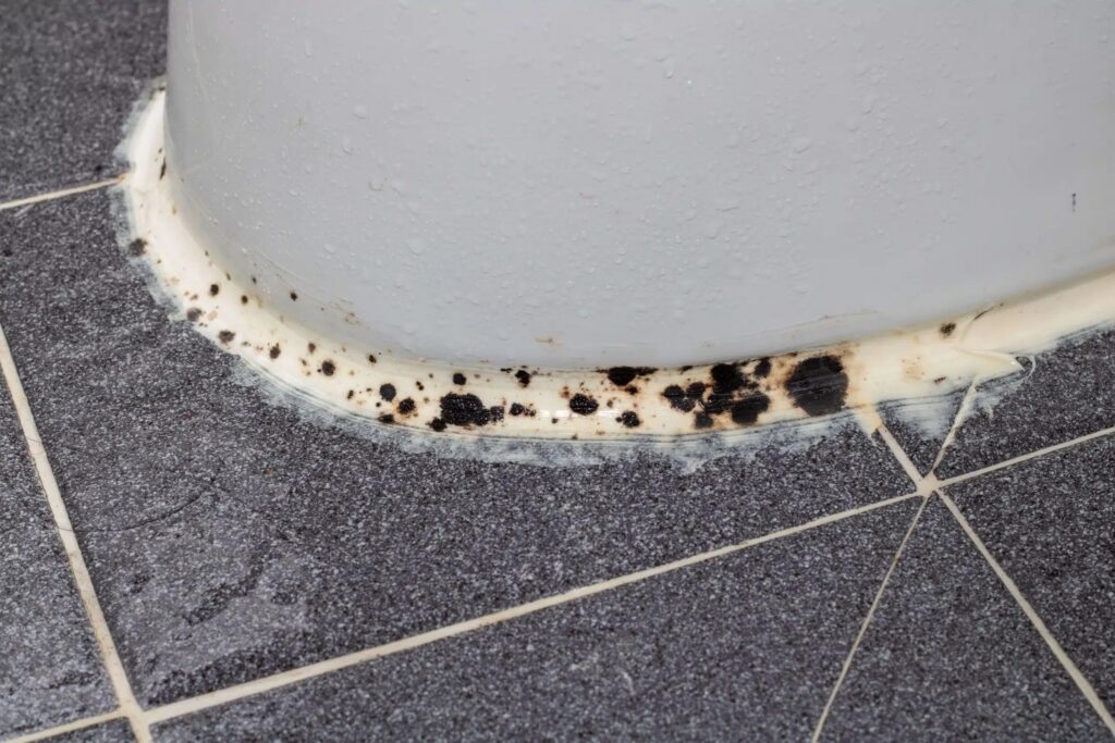 Black mold grows on the caulk around the base of a white fixture on a dark tiled