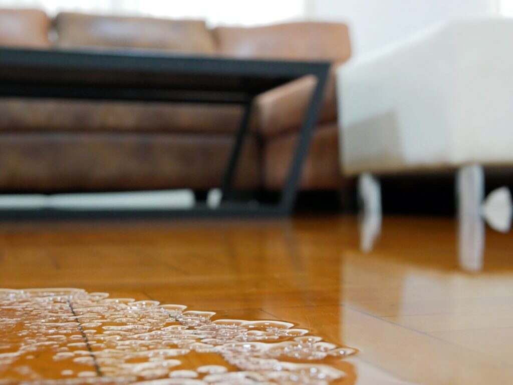 A large puddle of water has spilled onto a shiny wooden floor in a living room