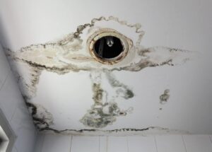 A white ceiling shows extensive black mold growth and water damage around an exposed light fixture.