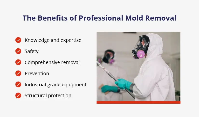 Professionals in hazmat suits and respirators illustrate the benefits of mold removal listed on the