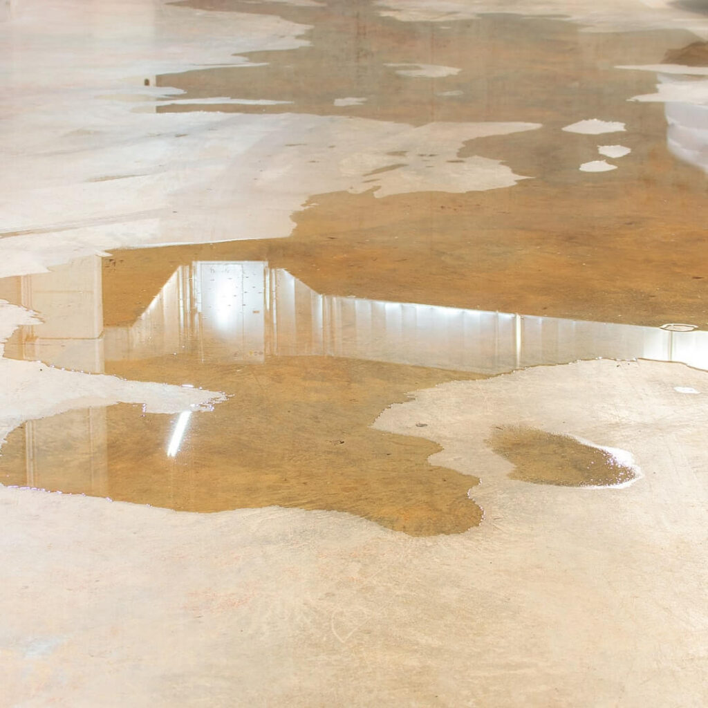 Water Damage Restoration Services