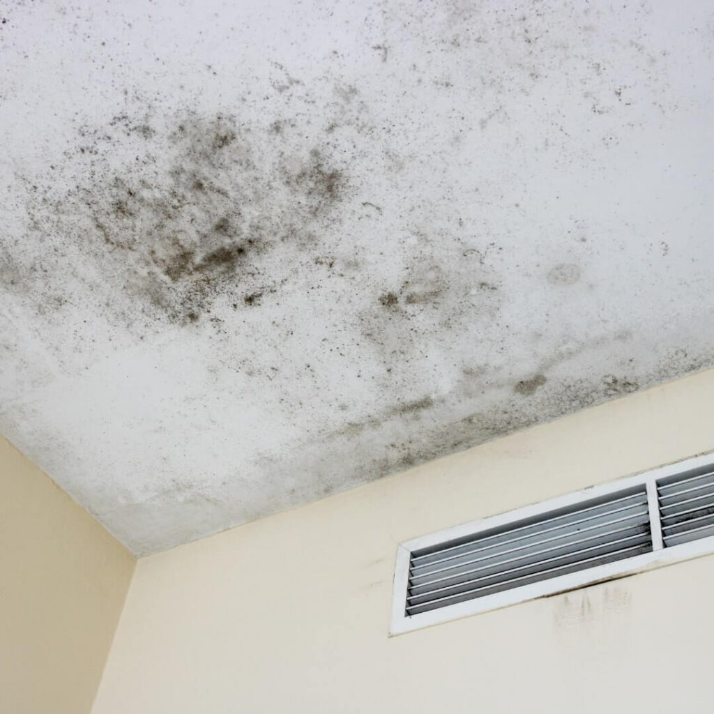 Tenant vs. Landlord Obligations