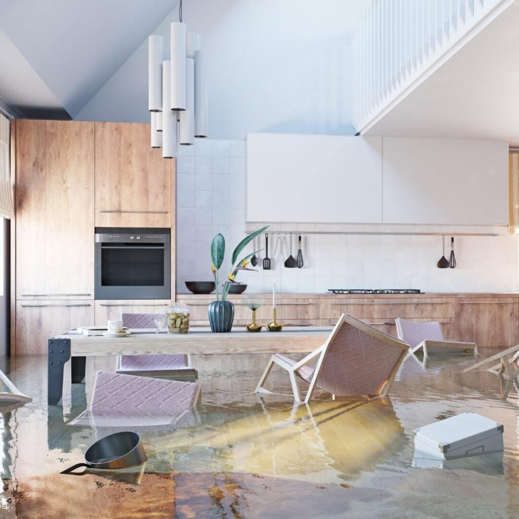 Water Mitigation vs Remediation