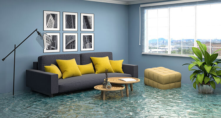 Water Damage Restoration