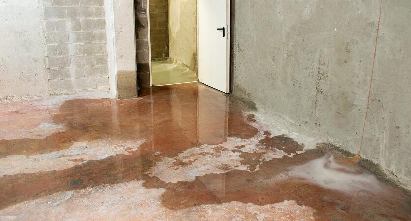 Contact a Professional Water Damage Restoration Company
