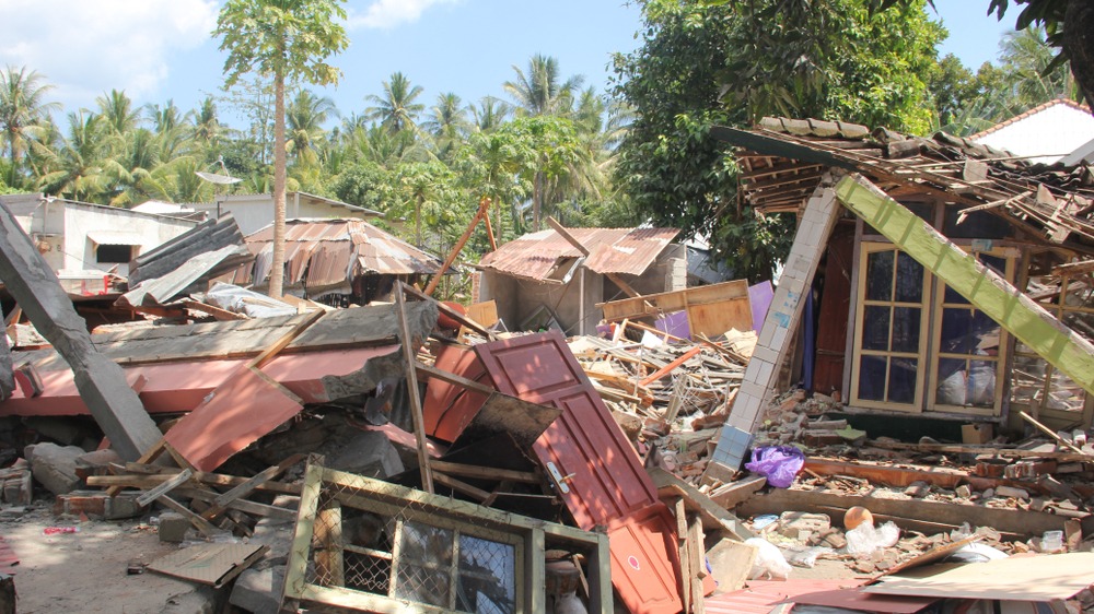 Disaster Cleanup