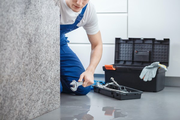 Why More Bartlett Homeowners Turn to PuroClean of Bartlett for Water Damage Restoration