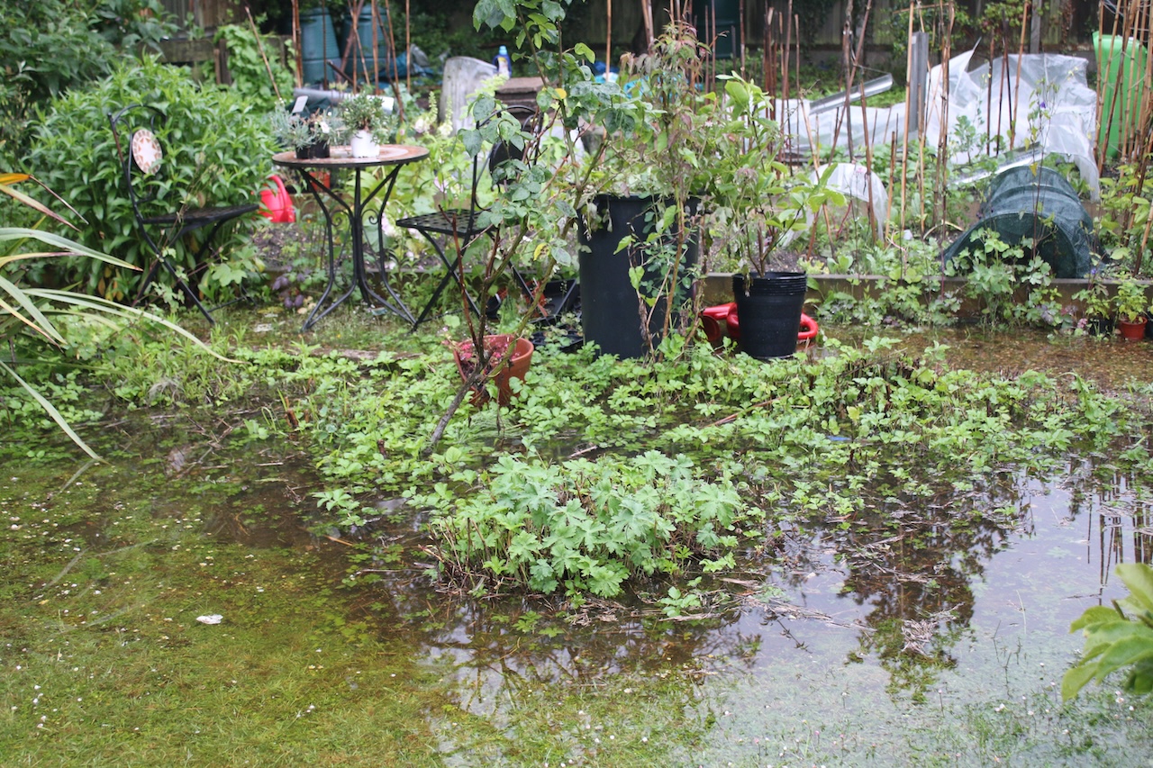 Saving a Flooded Garden in Bartlett: Tips and Tricks