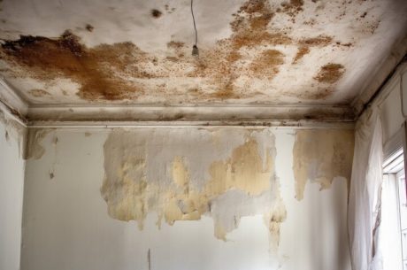 Mold-covered ceiling and walls.