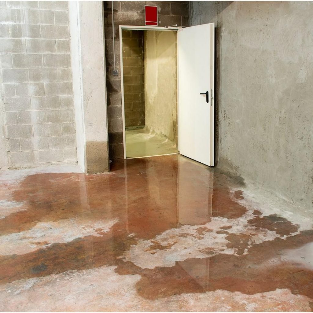 Benefits of Water Mitigation