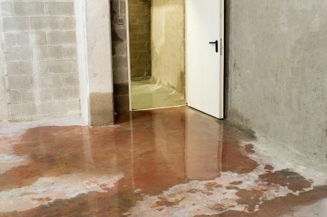 Benefits of Water Mitigation