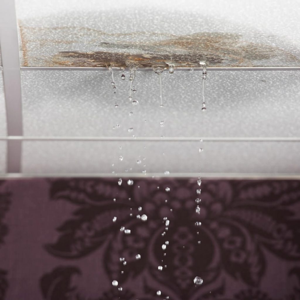 Identifying and Addressing Common Sources of Water Damage