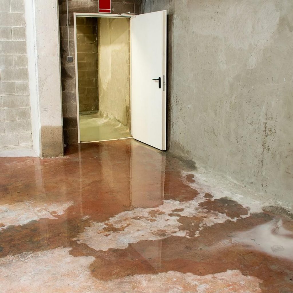 Signs of Basement Water Damage