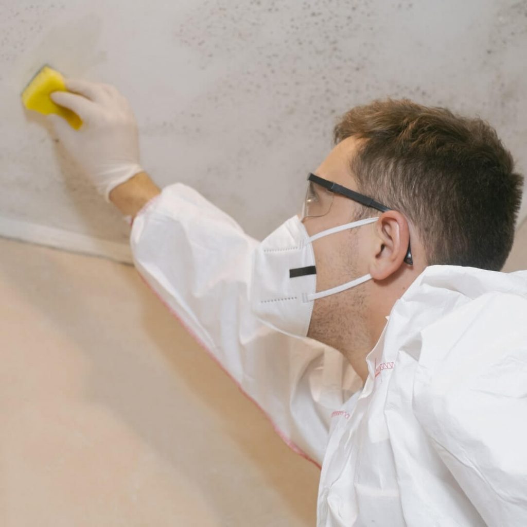 Techniques for Effective Mold Removal in Your Home