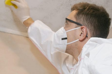 Techniques for Effective Mold Removal in Your Home