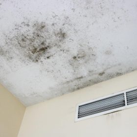 Tenant vs. Landlord Obligations