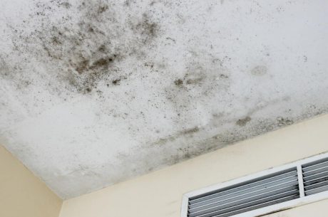 Tenant vs. Landlord Obligations