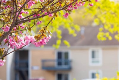 Avoiding Water Damage Repair During The Spring Thaw