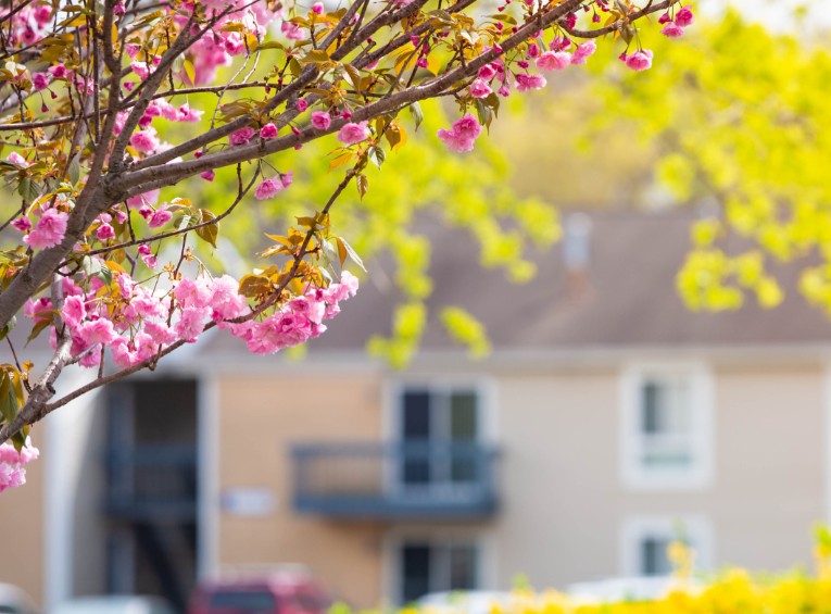 Avoiding Water Damage Repair During The Spring Thaw