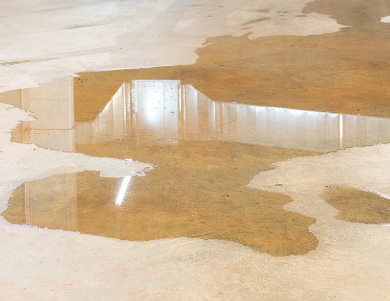 How a Water Mitigation Company Helps