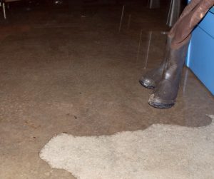 Is Water Restoration Worth It in Bartlett, IL